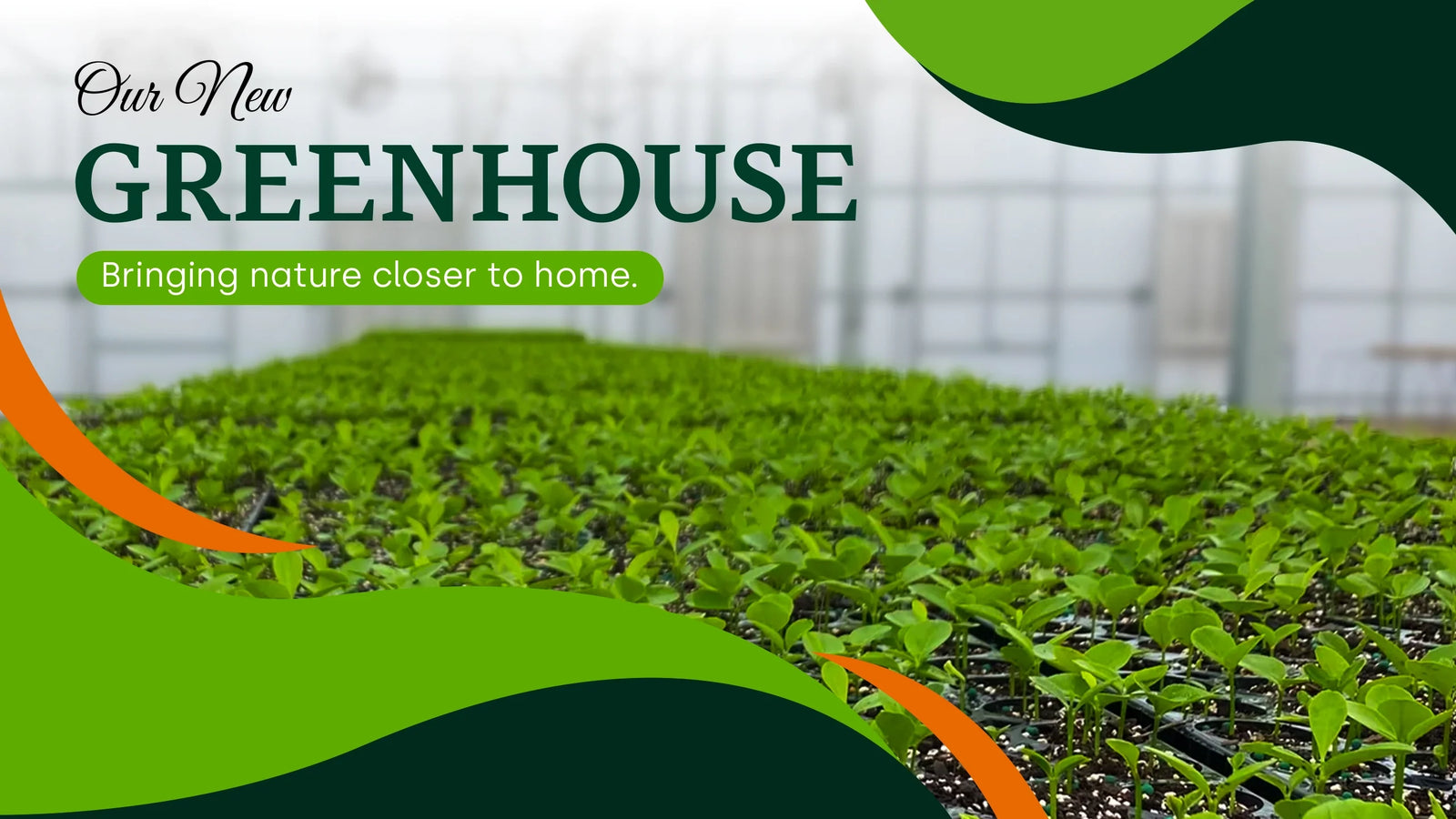 Citrus Green house by Via Citrus