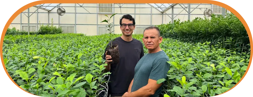 Farm behind the scene | Via Citrus