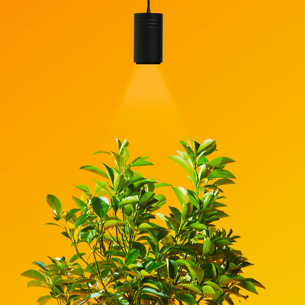 yellow grow light bulb Aspect Gen 2 LED Citrus Growlight