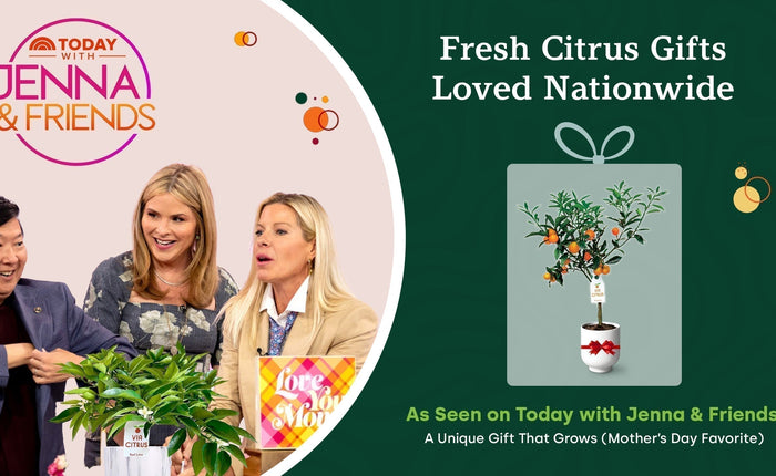 Florida grown citrus trees on National TV
