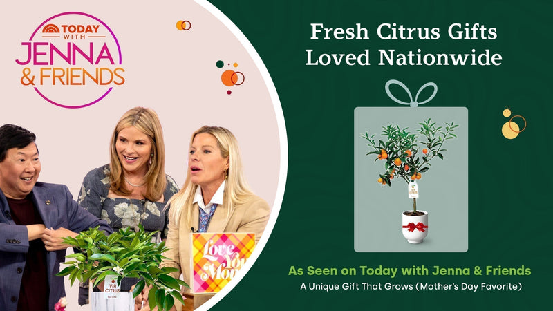 Florida grown citrus trees on National TV - Via Citrus