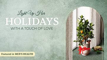 Living Citrus, Loving Gift