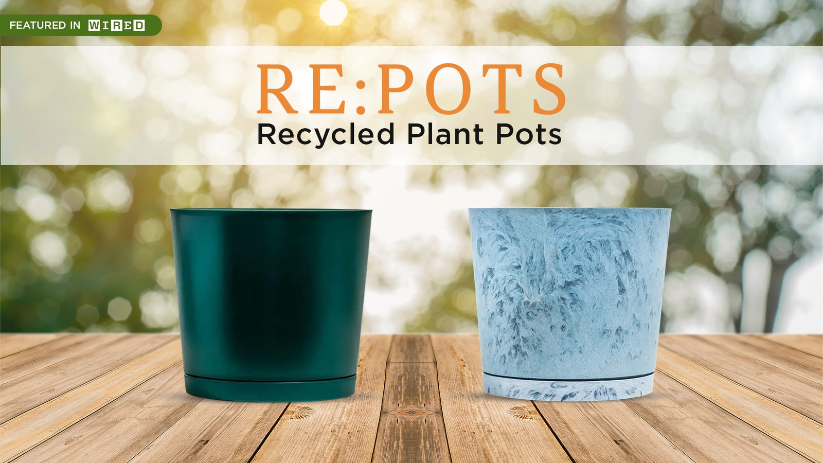 Sustainable Indoor Plant Pots