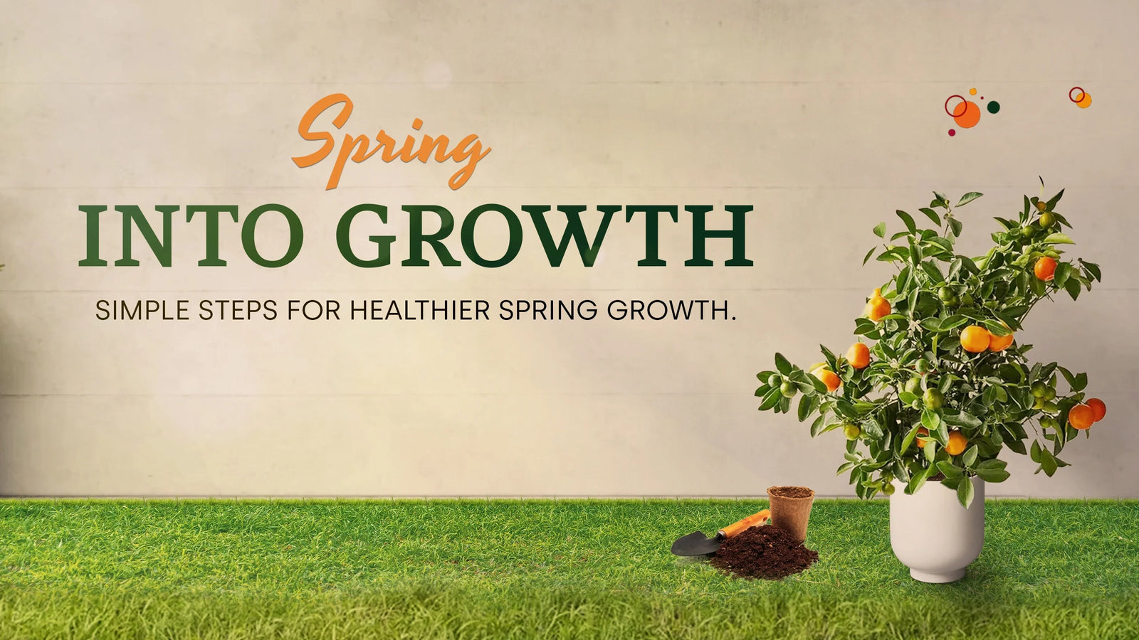 Spring Citrus Care