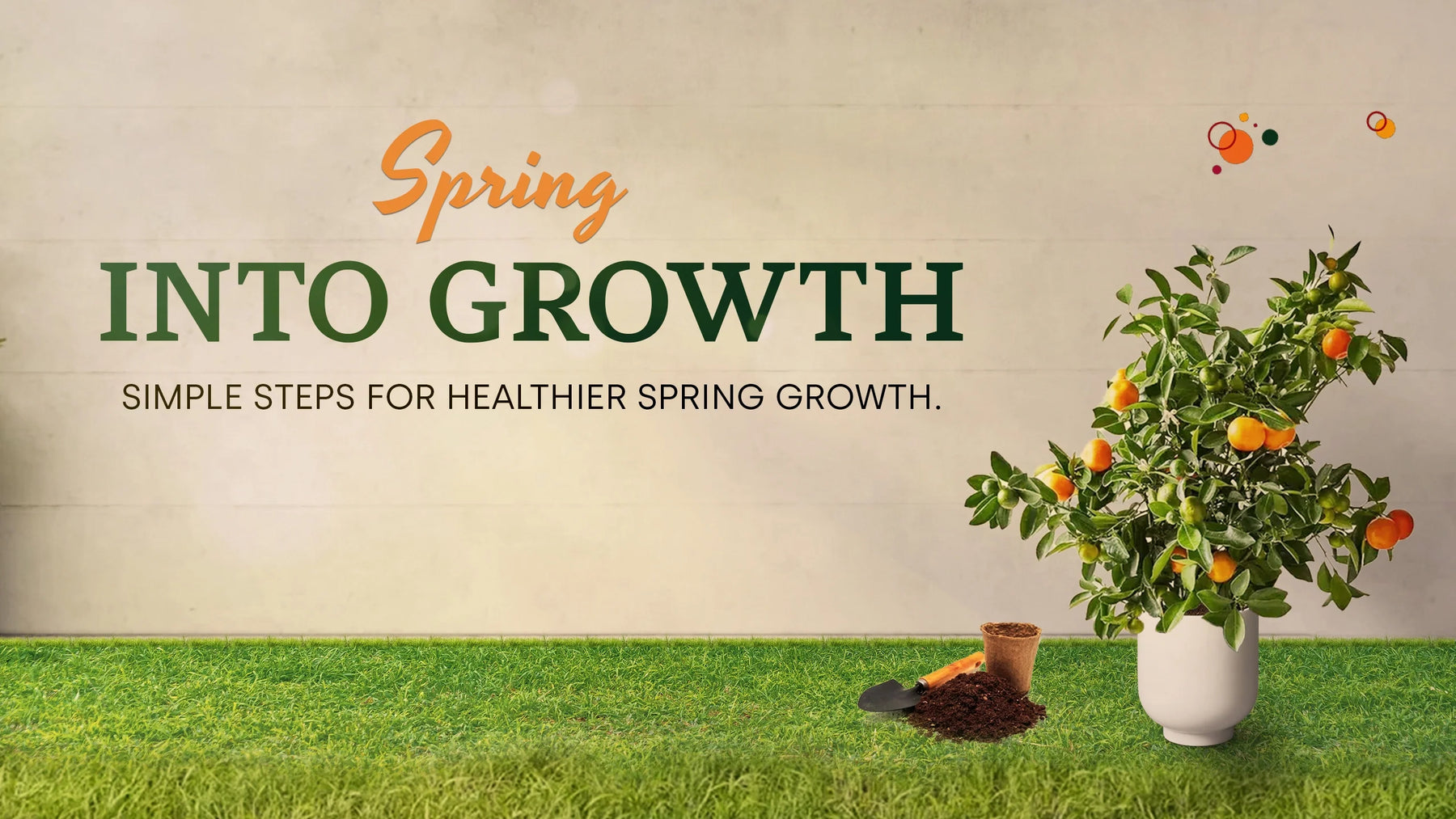 Spring Citrus Care