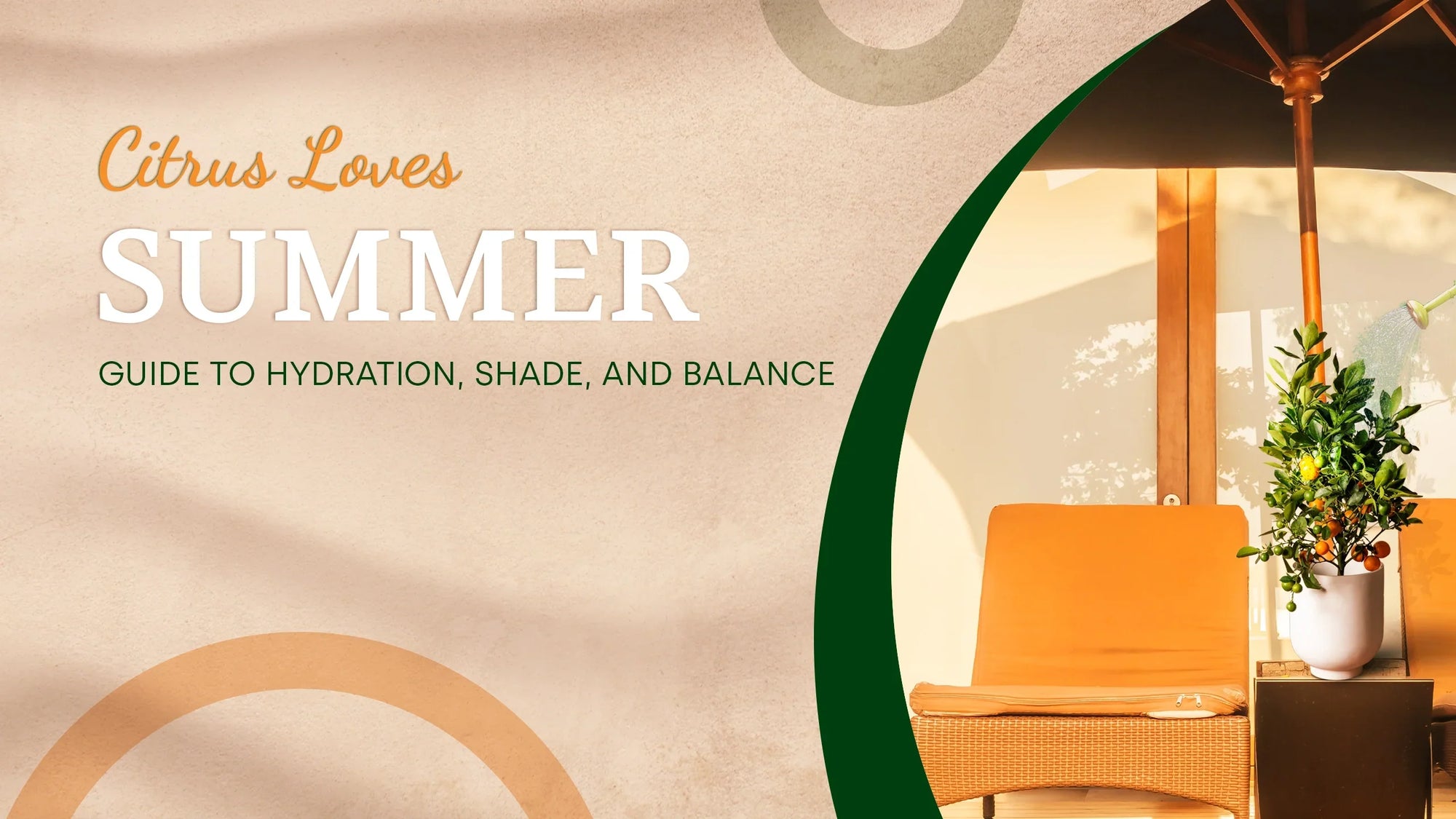 Summer Care and Harvest for Citrus