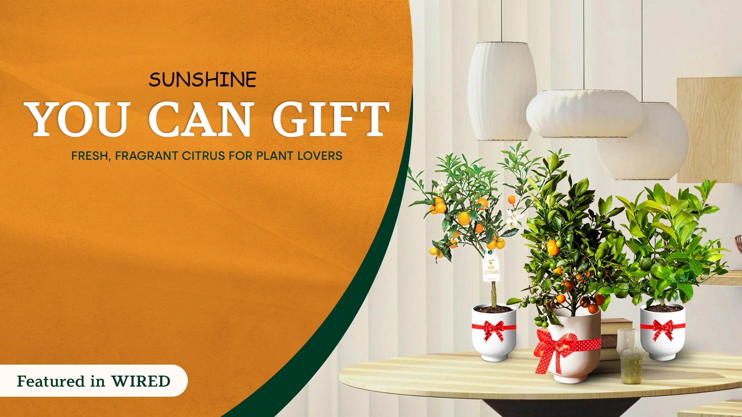 Growing Joy, Delivered