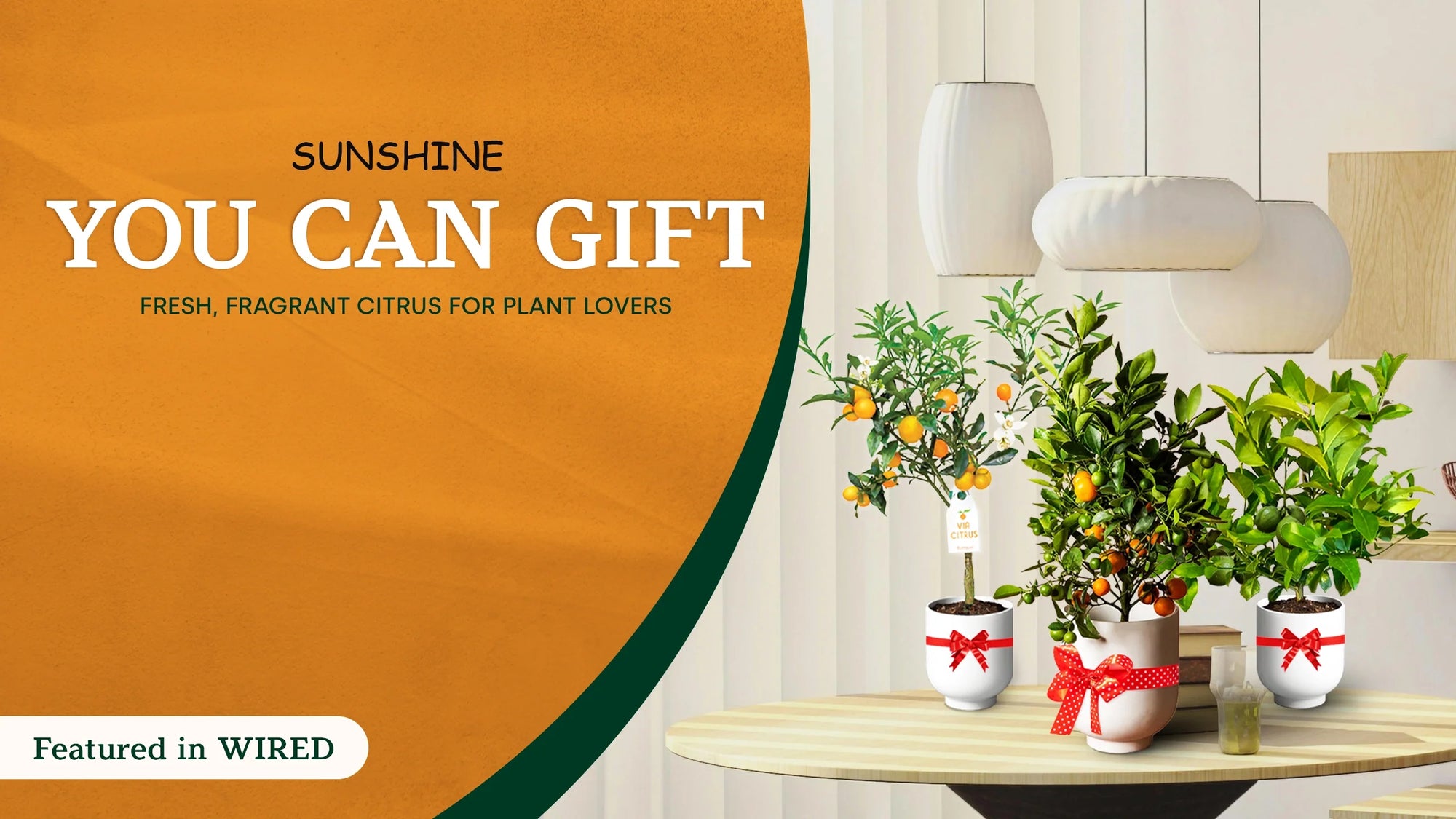 Growing Joy, Delivered