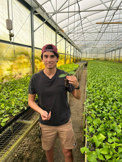 Citrus farm behind the scene gallery image | Via Citrus