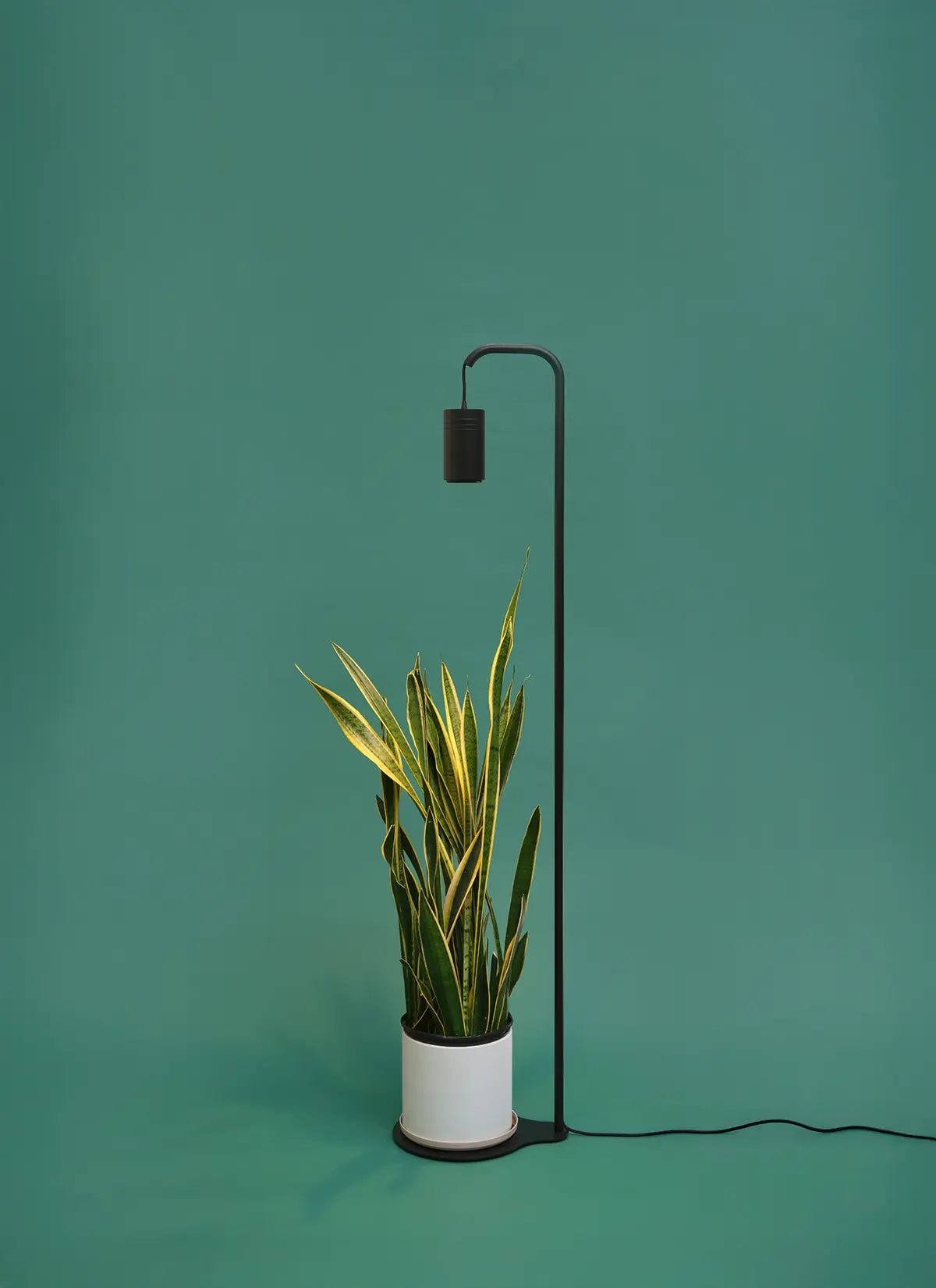 Aspect Citrus Grow Light with Stello Pendant Stand Set
