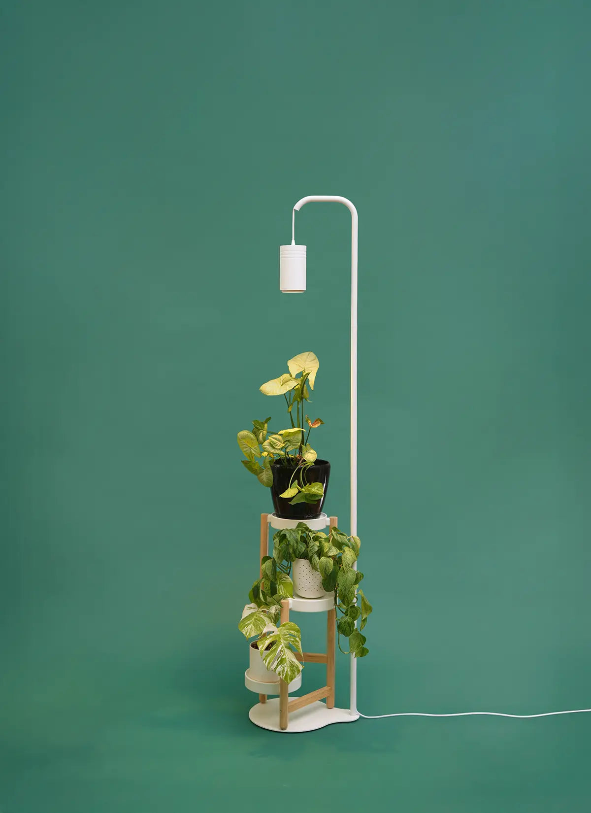 Aspect Citrus Grow Light with Stello Pendant Stand Set
