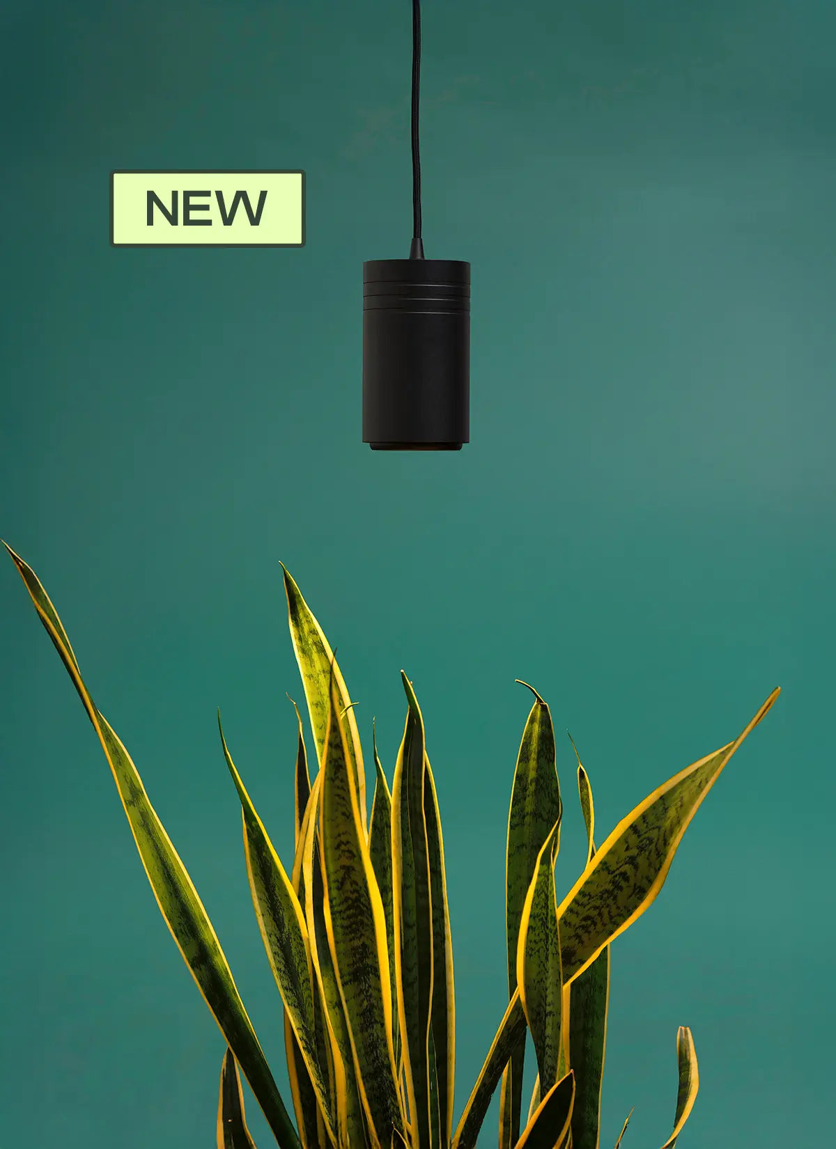 Aspect Gen 2 LED Citrus Growlight