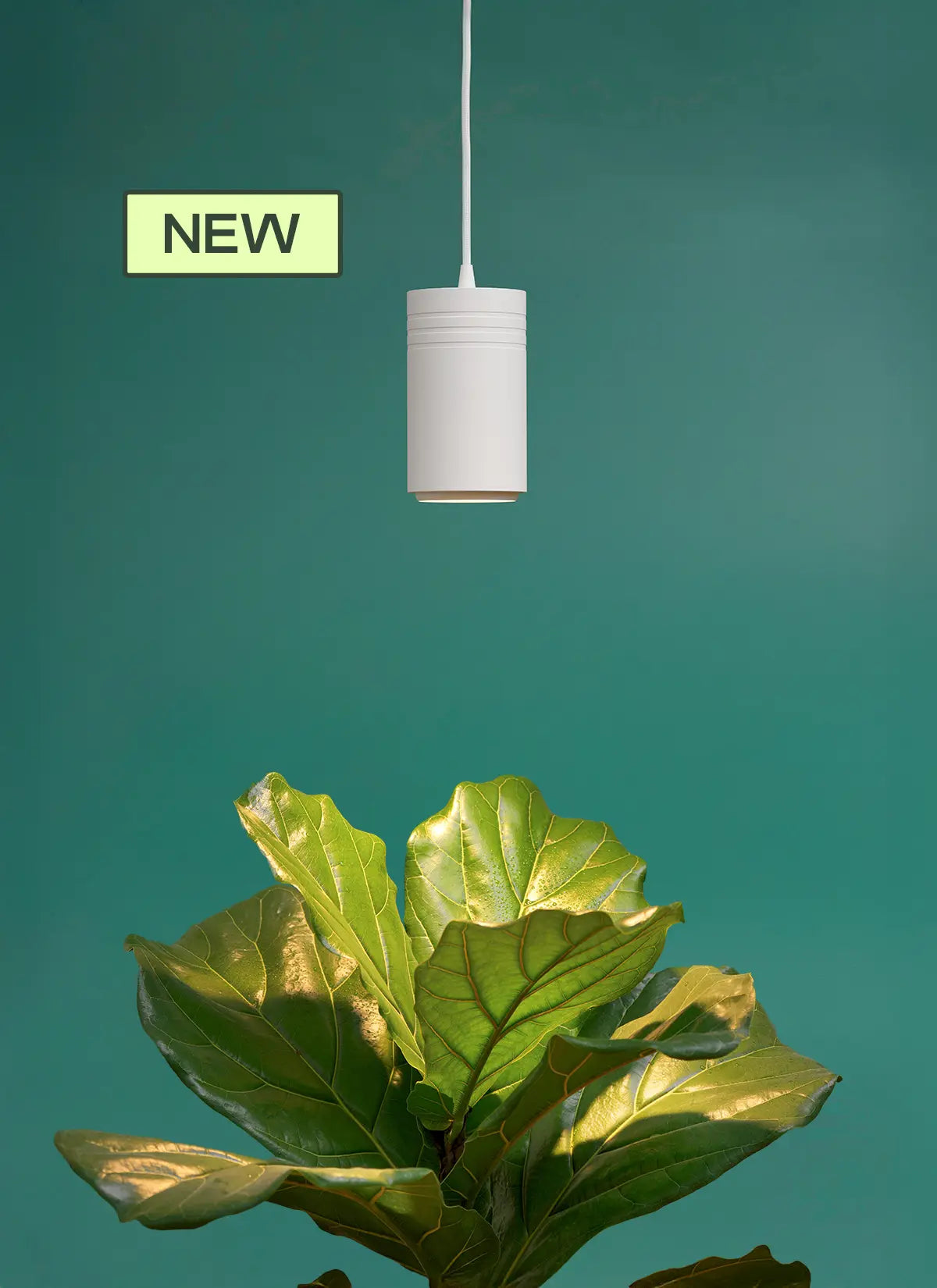 Aspect Gen 2 LED Citrus Growlight