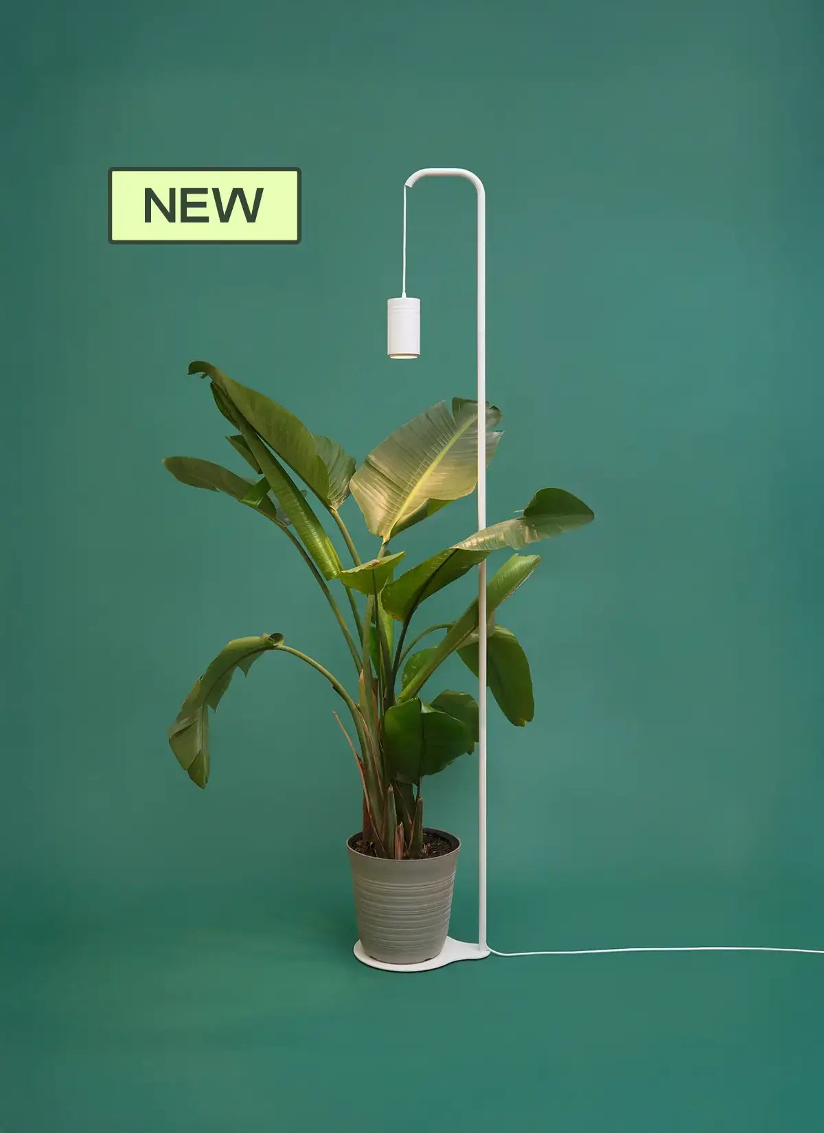 Aspect Citrus Grow Light with Stello Pendant Stand Set
