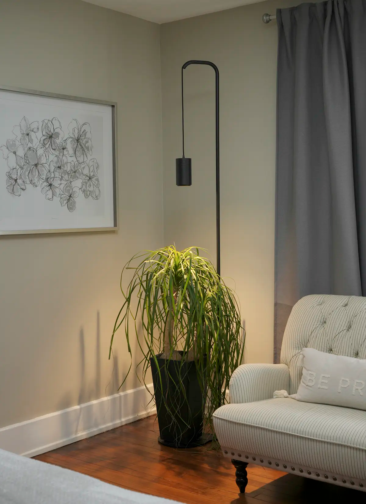 Aspect Citrus Grow Light with Stello Pendant Stand Set