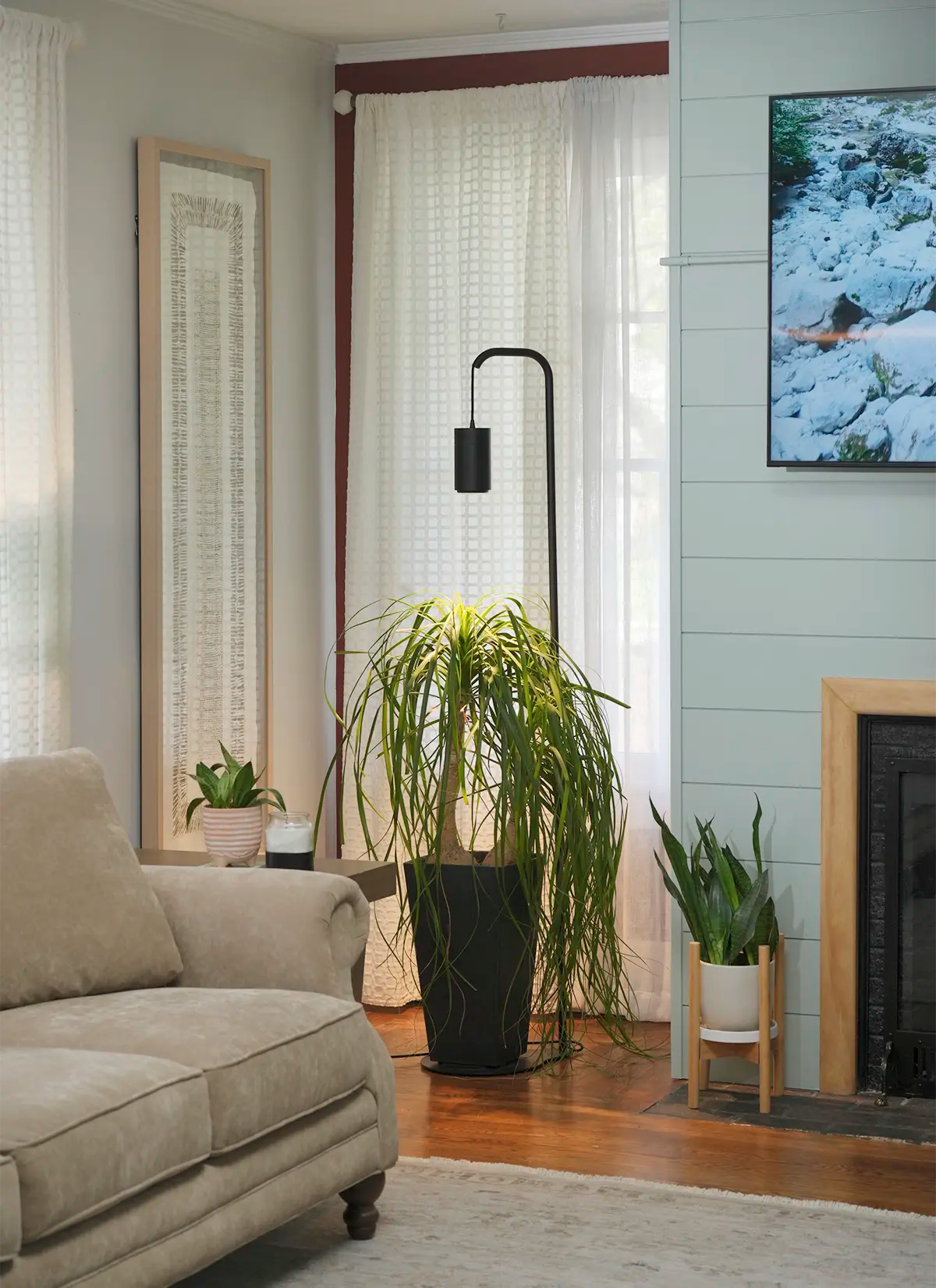 Aspect Citrus Grow Light with Stello Pendant Stand Set
