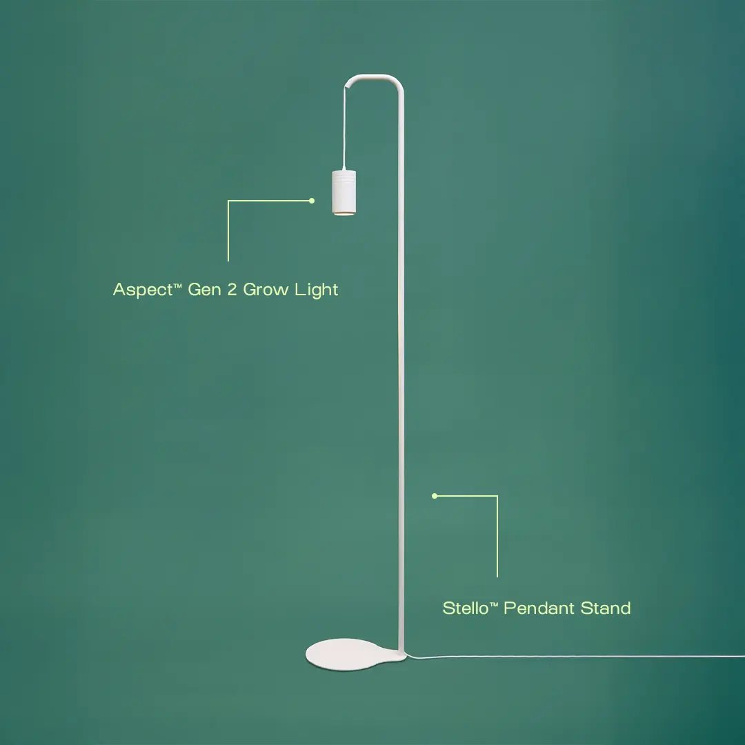 Aspect Citrus Grow Light with Stello Pendant Stand Set