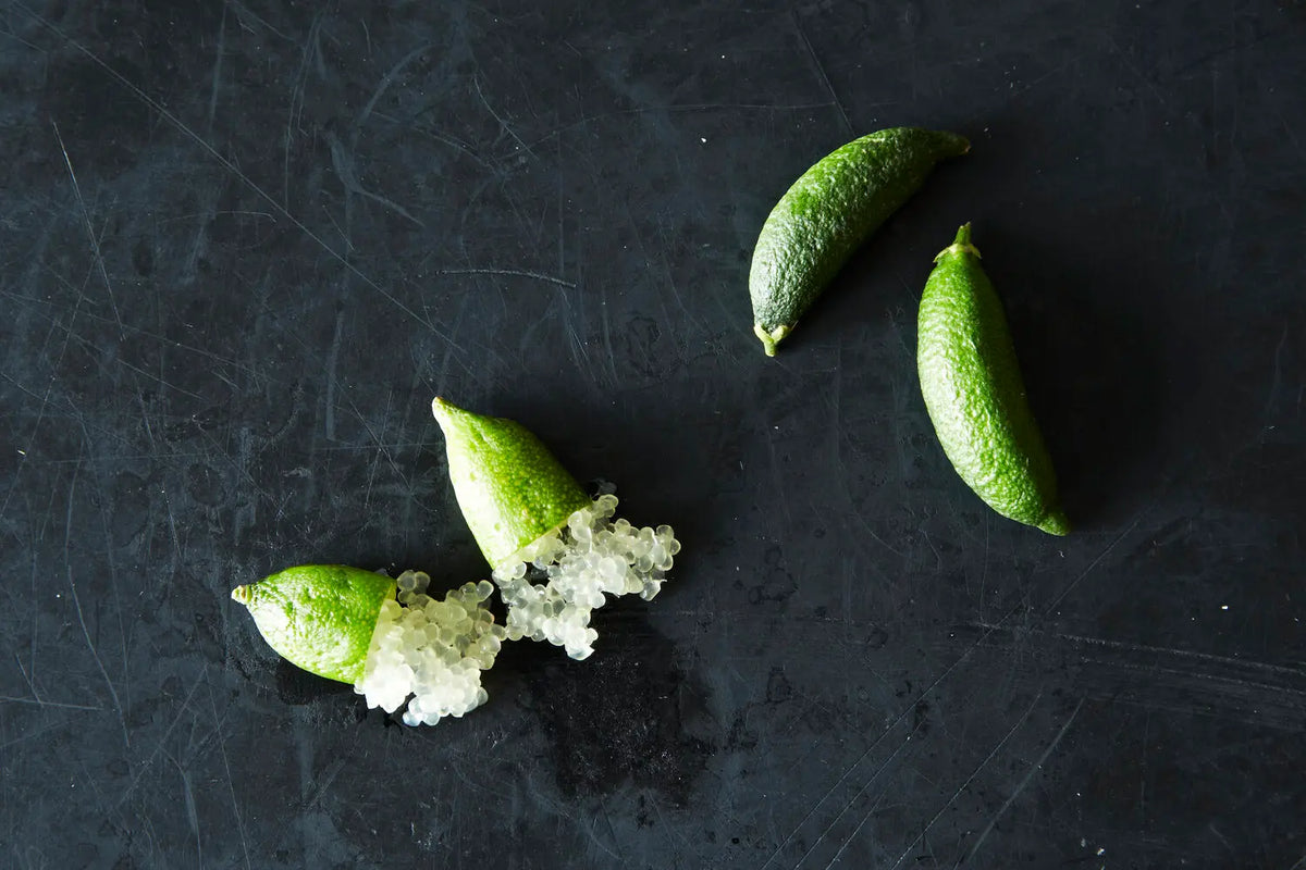 Australian Finger Lime