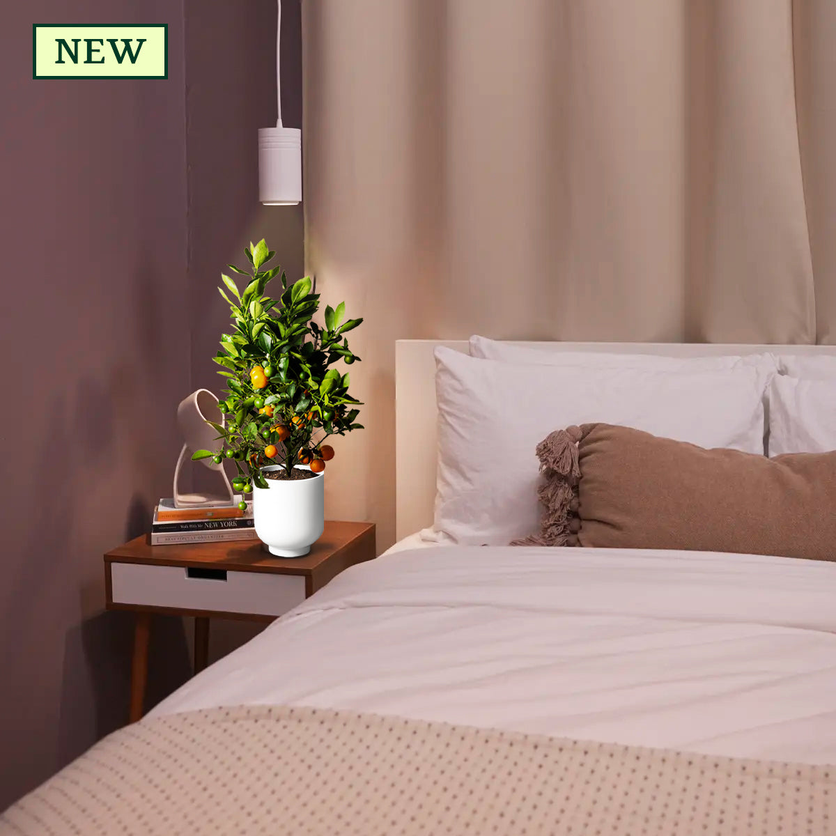 Aspect Gen 2 LED Citrus Growlight