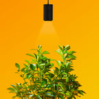 Aspect Gen 2 LED Citrus Growlight