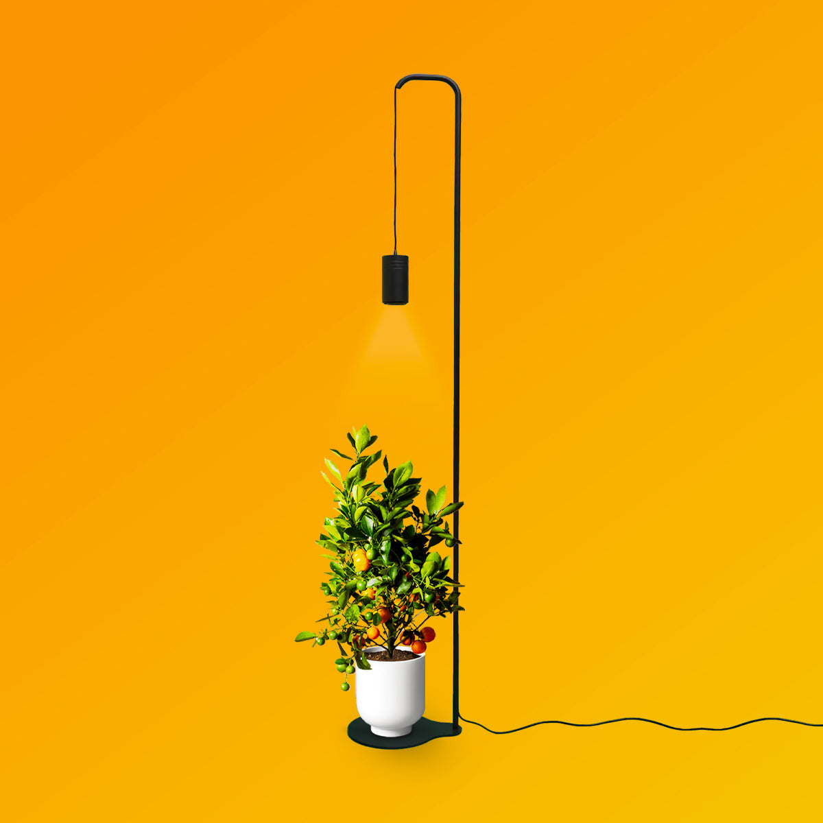 pendant plant grow light Aspect Citrus Grow Light with Stello Pendant Stand Set