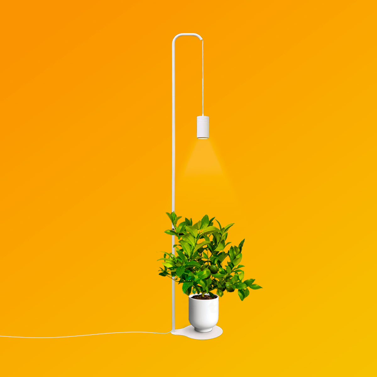 Aspect Citrus Grow Light with Stello Pendant Stand Set