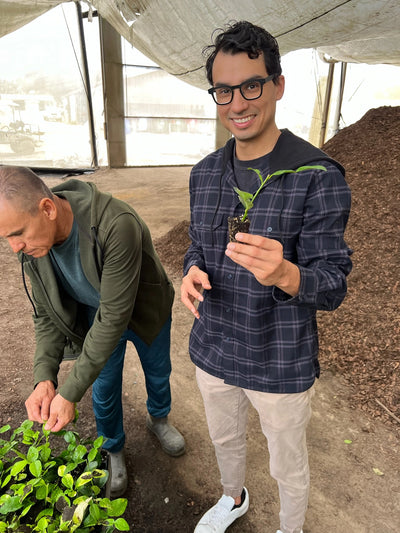 Citrus farm behind the scene gallery image | Via Citrus