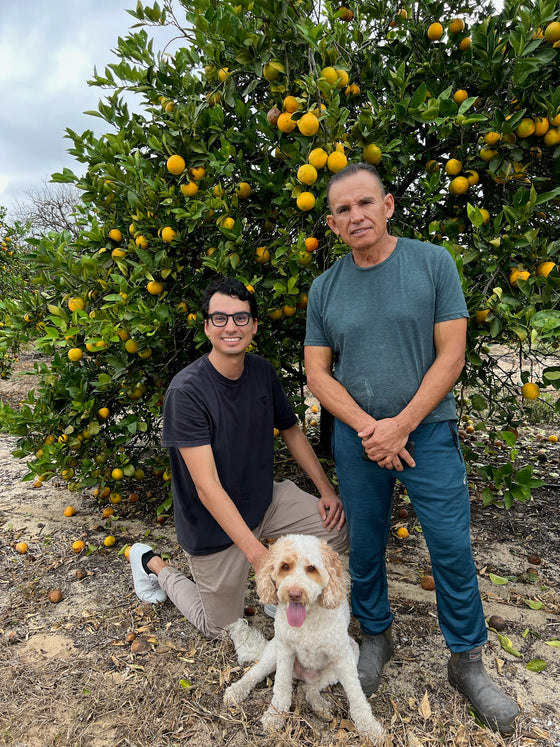 Citrus farm behind the scene gallery image | Via Citrus