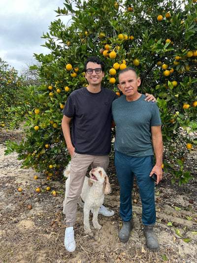 Citrus farm behind the scene gallery image | Via Citrus