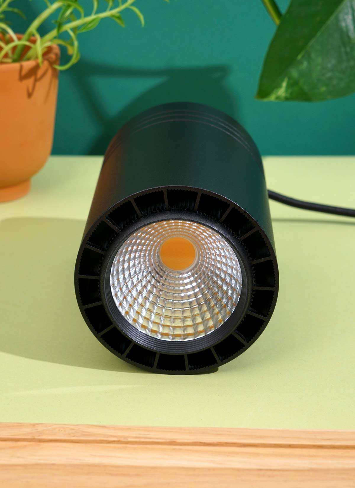 Aspect LED Citrus Growlight