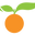 Via Citrus logo