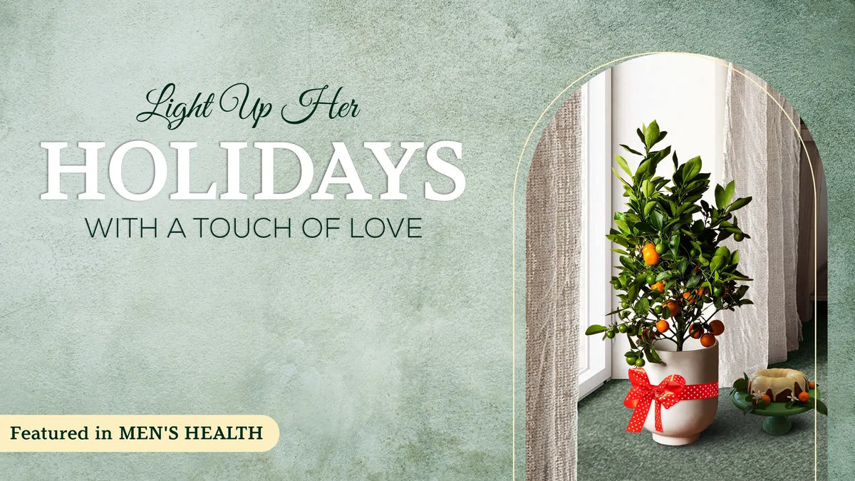 Living Citrus, Loving Gift