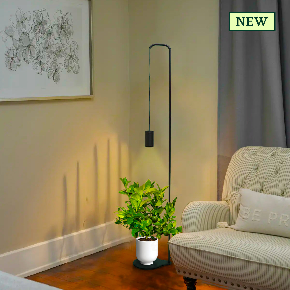 Aspect Citrus Grow Light with Stello Pendant Stand Set