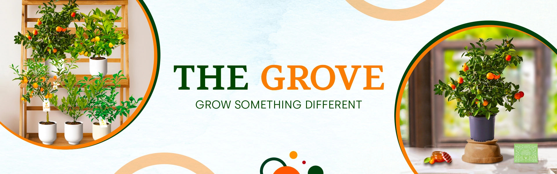 Citrus Grove in FL by Via Citrus