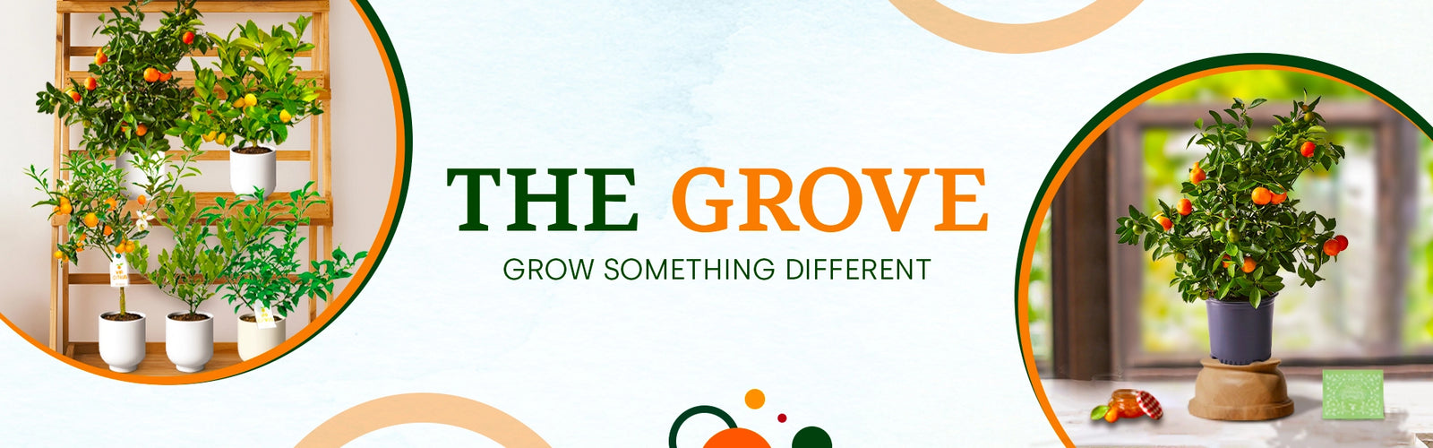 Citrus Grove in FL by Via Citrus