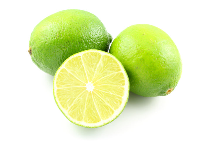 Persian Lime Tree. Indoor Outdoor Citrus Plant Gift