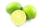 Persian Lime Tree. Indoor Outdoor Citrus Plant Gift