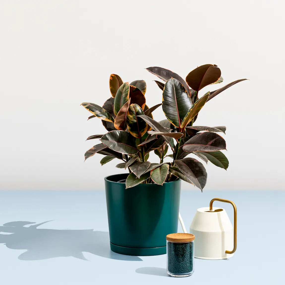 are plastic plant containers recyclable Indoor/Outdoor Maritime Plastic Planter Pot, 100% Recycled Plastic
