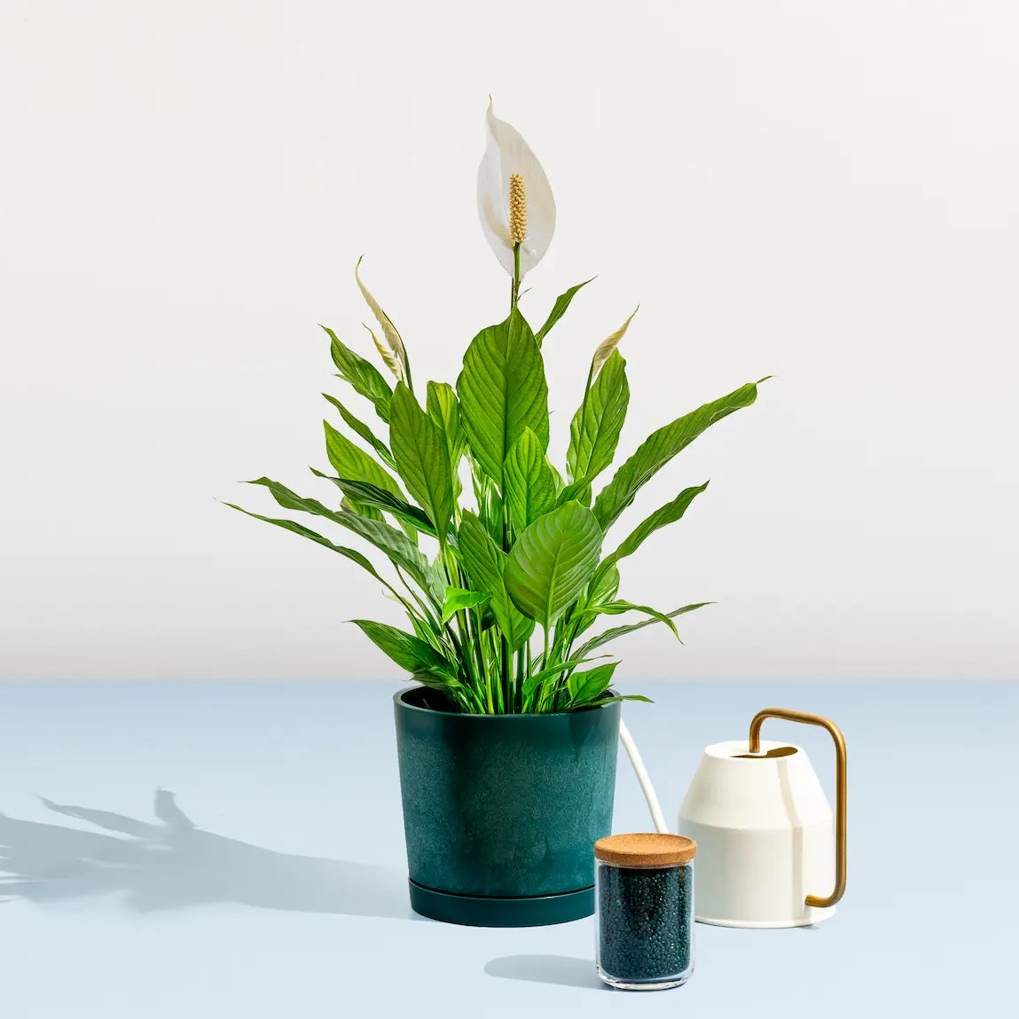 outdoor plastic planter Indoor/Outdoor Maritime Plastic Planter Pot, 100% Recycled Plastic Medium (8.6")