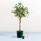 Indoor/Outdoor Maritime Plastic Planter Pot, 100% Recycled Plastic