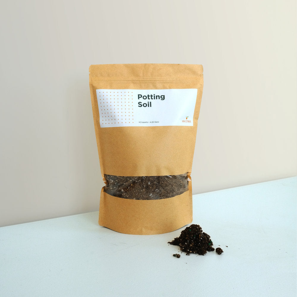 best potting soil for citrus plants Citrus Potting Soil