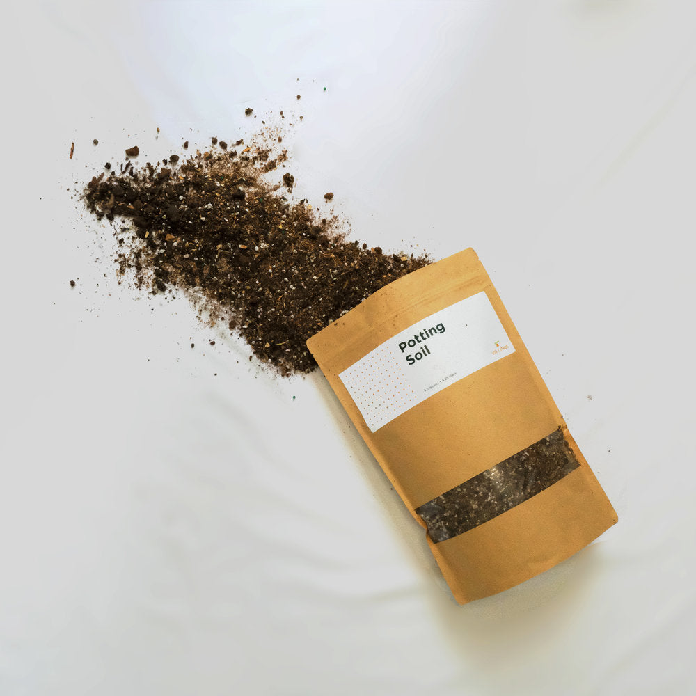 best potting soil for citrus plants Citrus Potting Soil