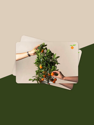 Digital Gift Card