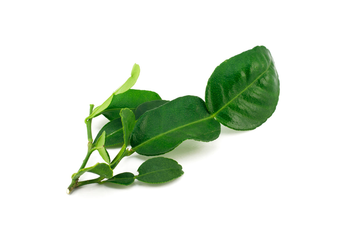 Kaffer Watermelon Kaffer Lime Leaves